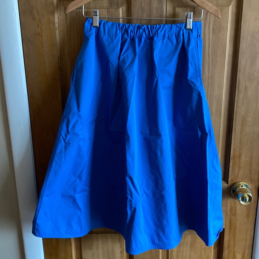 Everlane skirt